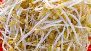 好吃的豆芽的做法步骤：1