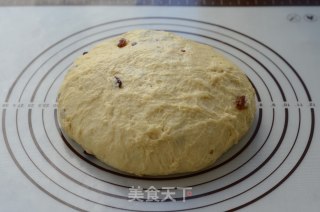 咕咕霍夫面包的做法步骤：5
