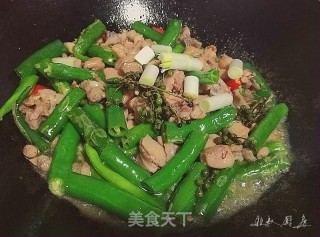 尖椒鸡的做法步骤：8