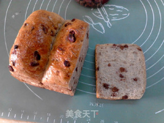 #烤箱美食#山核桃全麦小土司的做法步骤：22