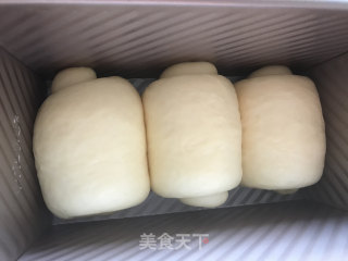 波兰种淡奶油吐司的做法步骤：12