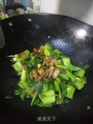 炒芥菜的做法步骤：5