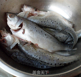 红烧野生鲈鱼的做法步骤：1