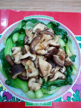 香菇扒油菜的做法步骤：8