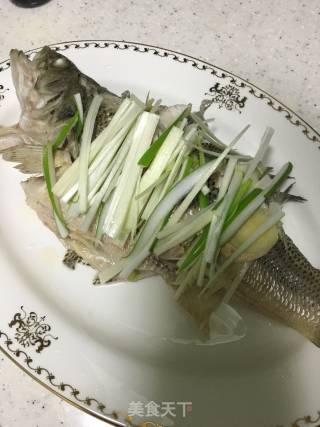 清蒸鲈鱼的做法步骤：7