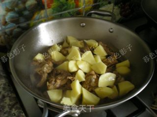 鸡骨架炖土豆的做法步骤：7