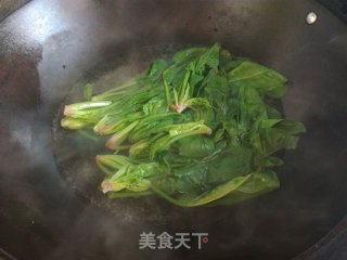 凉拌菜——芝麻菠菜的做法步骤：1