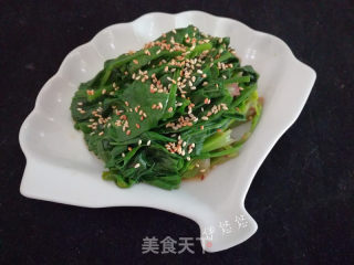 凉拌菜——芝麻菠菜的做法步骤：6