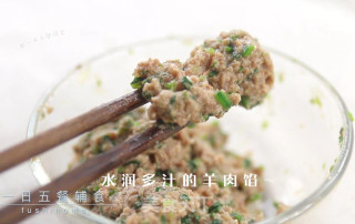 羊肉小水饺的做法步骤：7