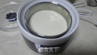 奶粉变酸奶的做法步骤：7