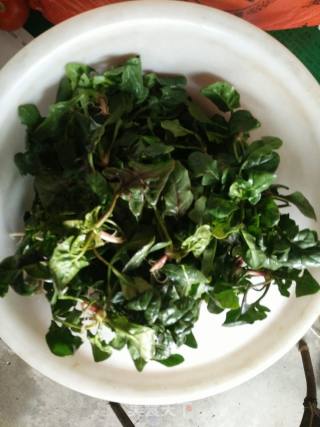 水煮菠菜的做法步骤：1