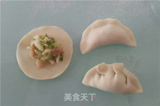 煎饺的做法步骤：6