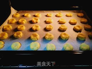 玛格丽特饼干的做法步骤：17