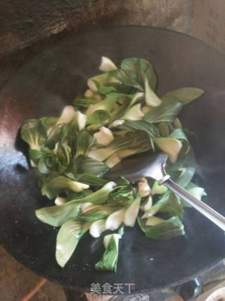 青菜炒香菇的做法步骤：4