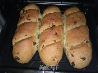 黑芝麻葡萄干烤馍的做法步骤：8