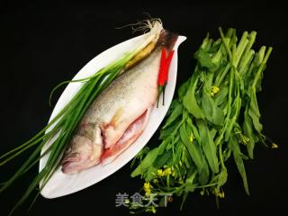 菜心蒸鱼的做法步骤：1