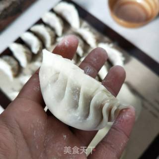 玉米鲜肉饺子的做法步骤：5