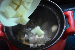 雪梨栗子糖水的做法步骤：6