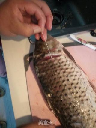 豆瓣鲤鱼炖粉的做法步骤：2
