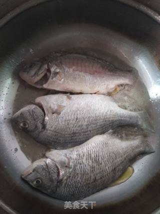 黑鲷鱼汤的做法步骤：4