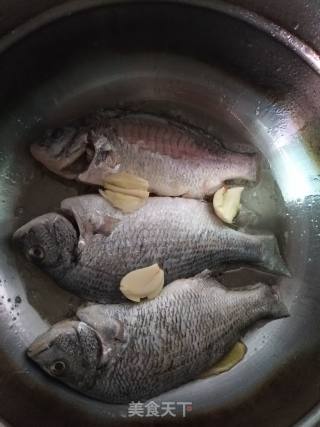 黑鲷鱼汤的做法步骤：5