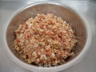 圆白菜猪肉馅蒸包的做法步骤：5