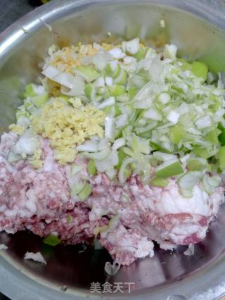 御寒美食－猪肉酸菜水饺的做法步骤：4