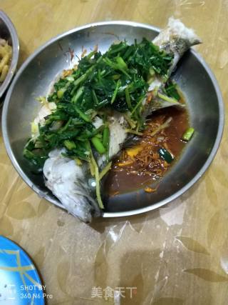 清蒸鲈鱼的做法步骤：4
