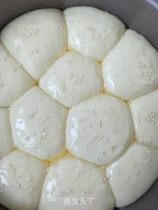 椰蓉面包的做法步骤：5