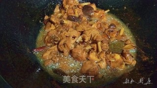 菇椒烧鸡的做法步骤：10