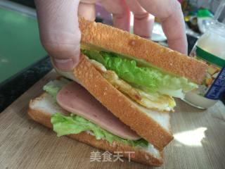 三明治的做法步骤：9