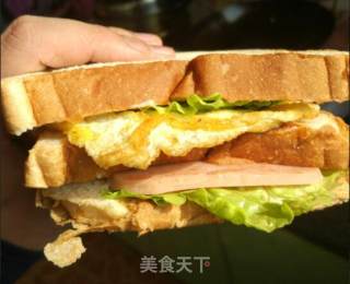 三明治的做法步骤：10