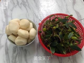 石橄榄马蹄排骨汤的做法步骤：3