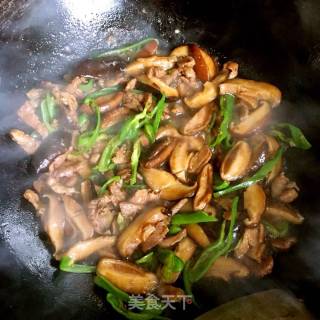 香菇炒肉丝的做法步骤：11