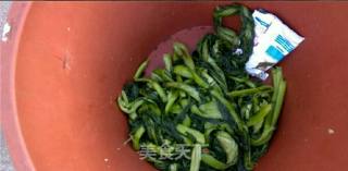 梅菜干自制方法的做法步骤：5