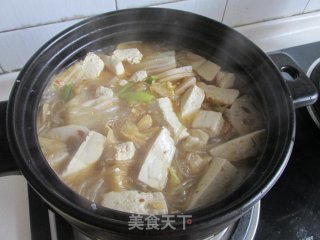 白菜粉条的做法步骤：5