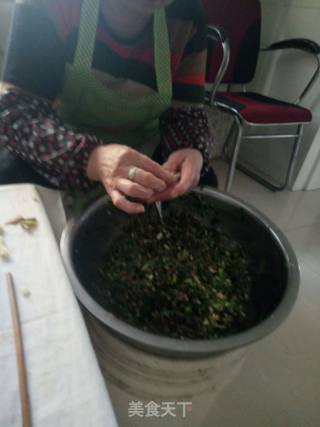 韭菜粉条馅饺子的做法步骤：12