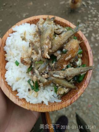 甜酒糟煮小鱼的做法步骤：3