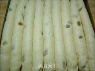 燕麦葡萄干排包的做法步骤：10