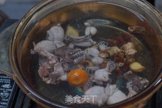 【小森妈妈菜谱】田七丹参煲田鸡的做法步骤：4