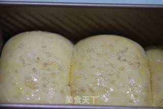 红豆面包的做法步骤：9