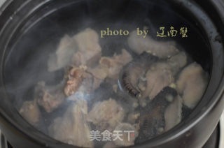 石斛鸡汤的做法步骤：5