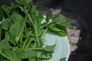 碗豆尖瘦肉汤的做法步骤：6