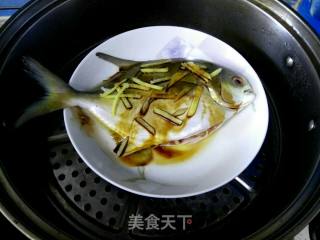清蒸鲳鱼的做法步骤：9