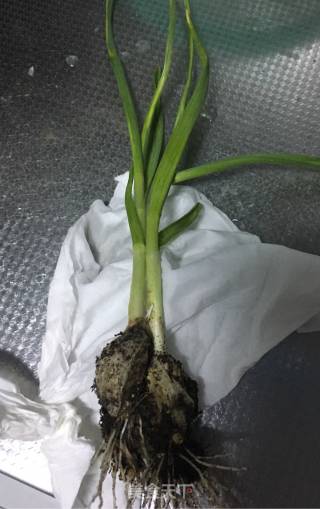 湖南腊肉炒冬笋的做法步骤：2