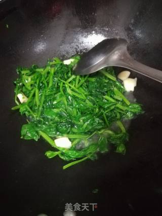 素炒豆苗的做法步骤：3