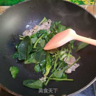 辣白菜肥羊炒面的做法步骤：4