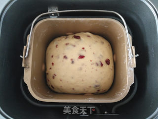 蔓越莓软欧的做法步骤：4