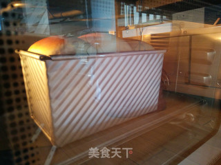 波兰种吐司的做法步骤：12