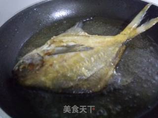 红烧鲳鱼的做法步骤：3
